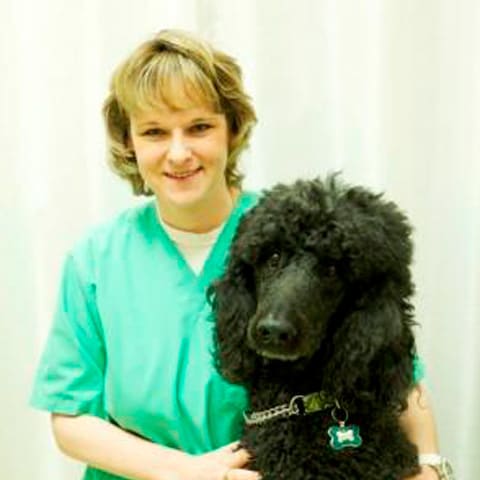 Lethbridge Veterinarian