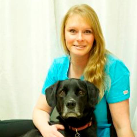 Lethbridge Veterinarian